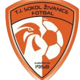 https://img.zhixiankangfu.com/img/football/team/5477d301041e00b2de35d5eeea2fabb4.png